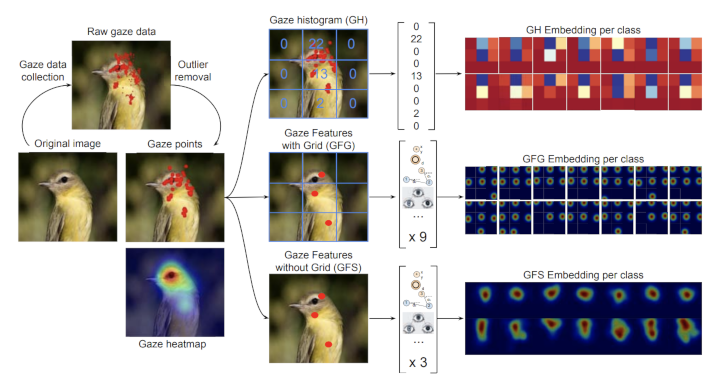 Example of encoded gaze points taken from Karessli 2017 (CVPR)